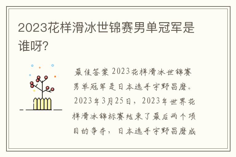 2023花样滑冰世锦赛男单冠军是谁呀？