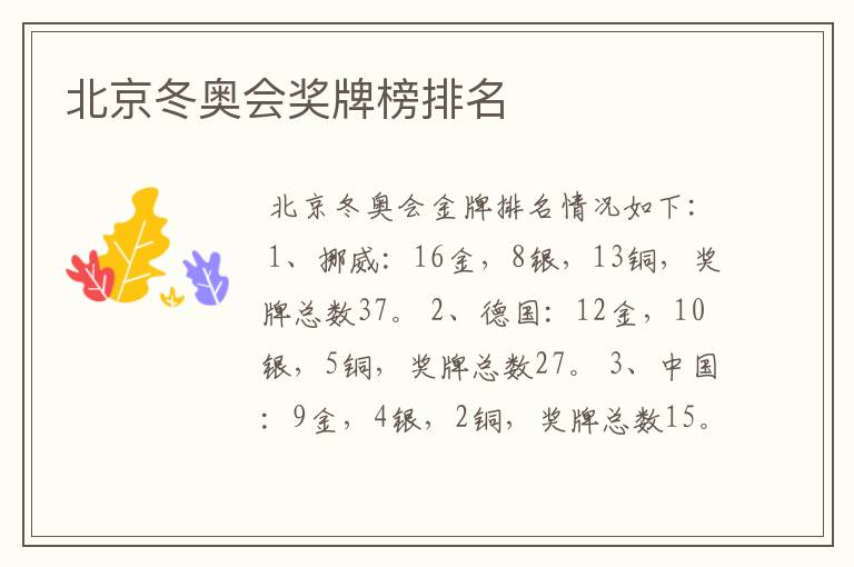 北京冬奥会奖牌榜排名