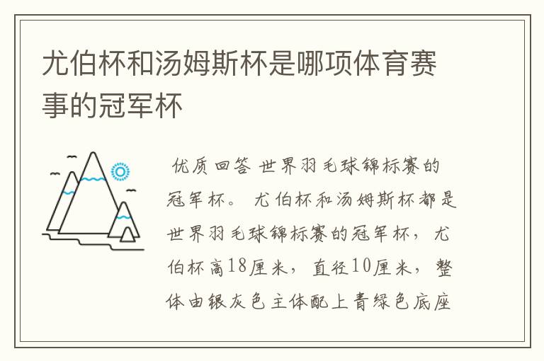 尤伯杯和汤姆斯杯是哪项体育赛事的冠军杯