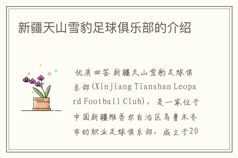 新疆天山雪豹足球俱乐部的介绍