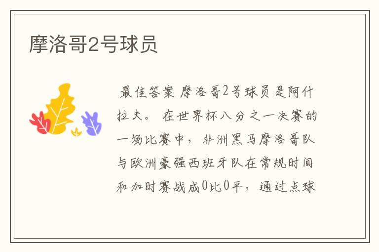 摩洛哥2号球员