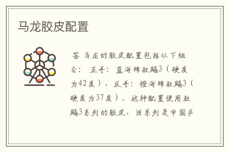 马龙胶皮配置