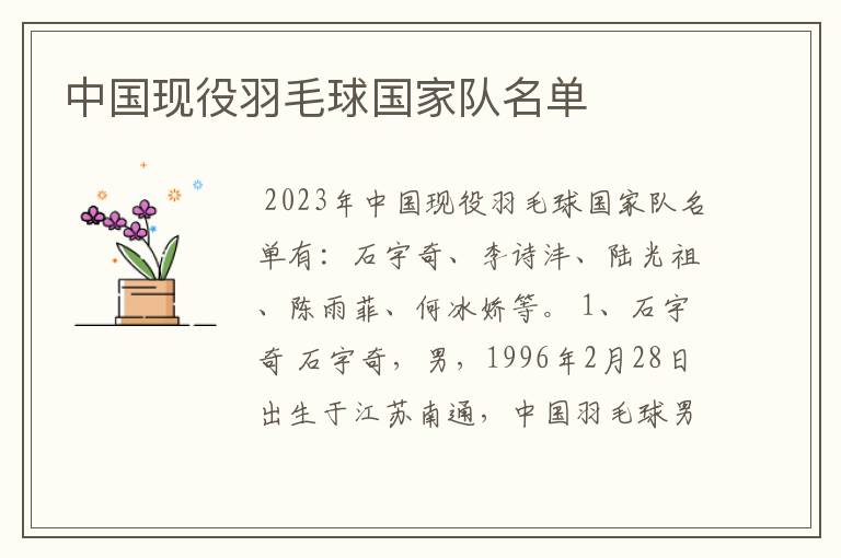 中国现役羽毛球国家队名单
