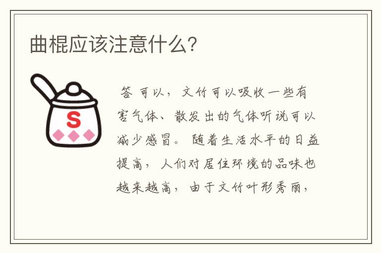曲棍应该注意什么?