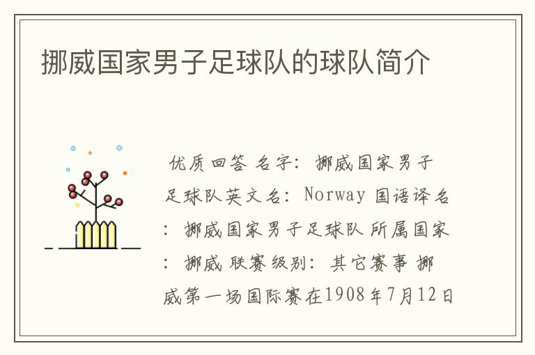 挪威国家男子足球队的球队简介