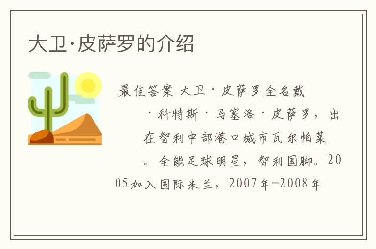 大卫·皮萨罗的介绍
