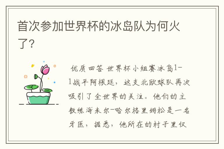 首次参加世界杯的冰岛队为何火了?