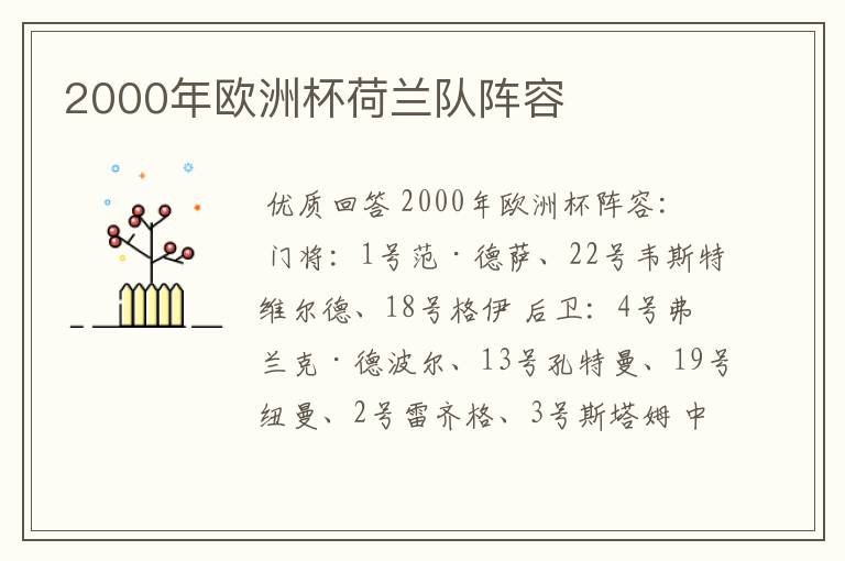 2000年欧洲杯荷兰队阵容