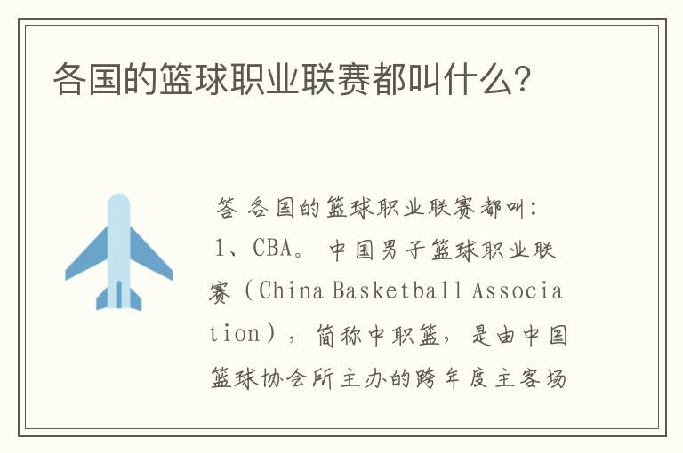 各国的篮球职业联赛都叫什么?