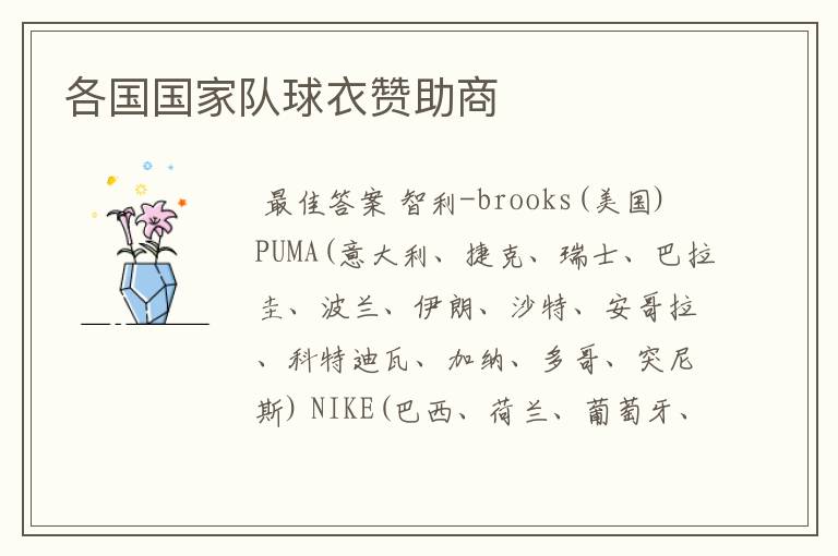 各国国家队球衣赞助商