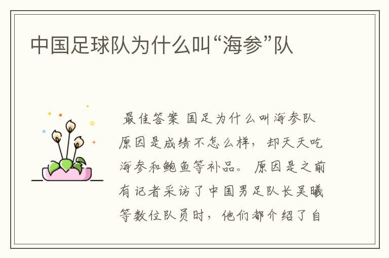 中国足球队为什么叫“海参”队