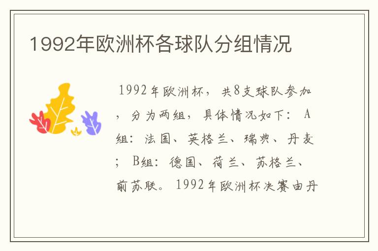 1992年欧洲杯各球队分组情况