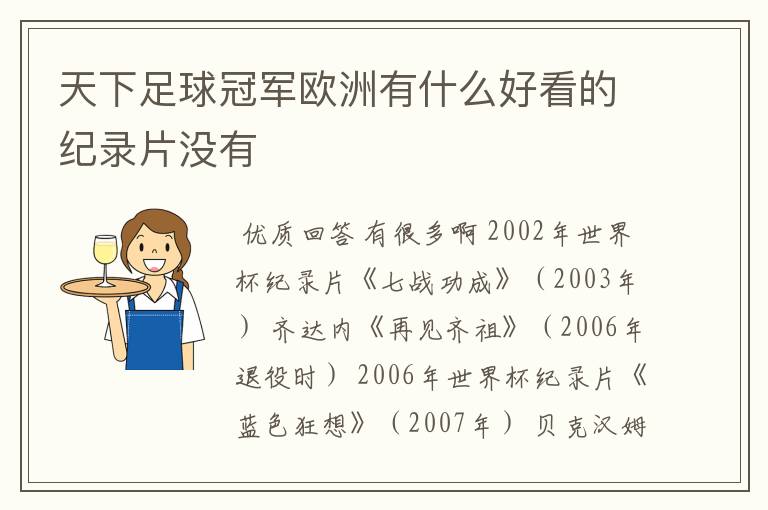 天下足球冠军欧洲有什么好看的纪录片没有