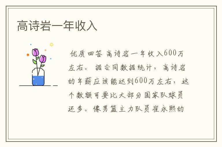 高诗岩一年收入