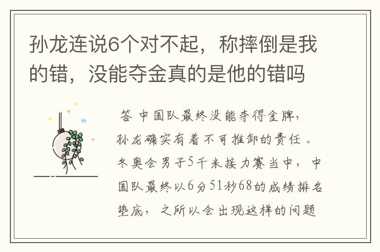 孙龙连说6个对不起,称摔倒是我的错,没能夺金真的是他的错吗?