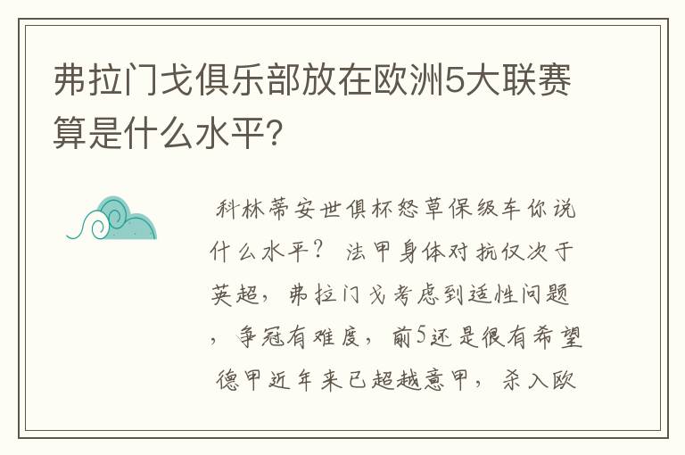 弗拉门戈俱乐部放在欧洲5大联赛算是什么水平?