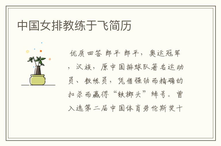 中国女排教练于飞简历