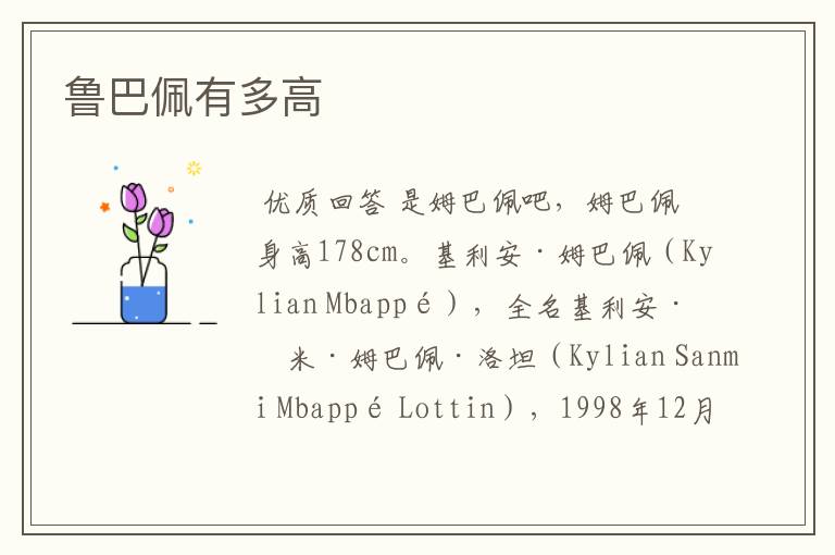 鲁巴佩有多高