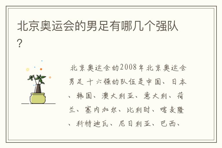 北京奥运会的男足有哪几个强队?