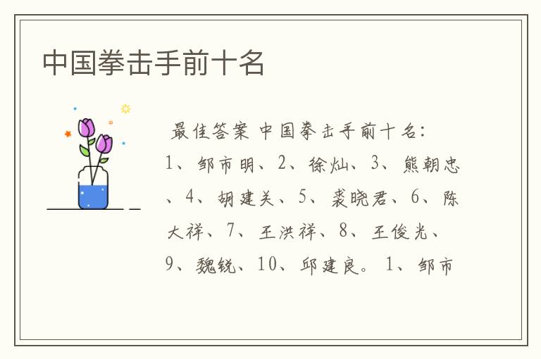 中国拳击手前十名