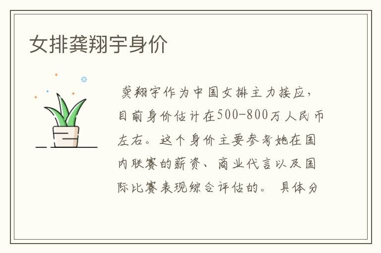 女排龚翔宇身价
