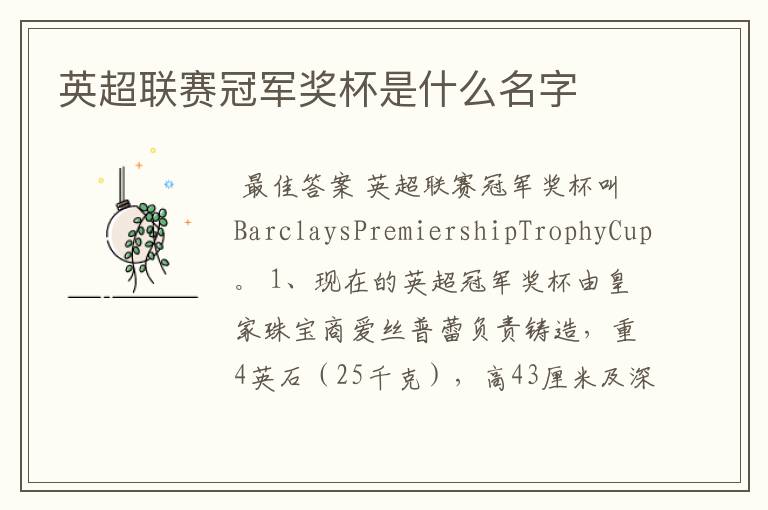 英超联赛冠军奖杯是什么名字