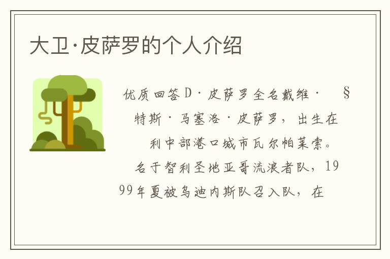 大卫·皮萨罗的个人介绍