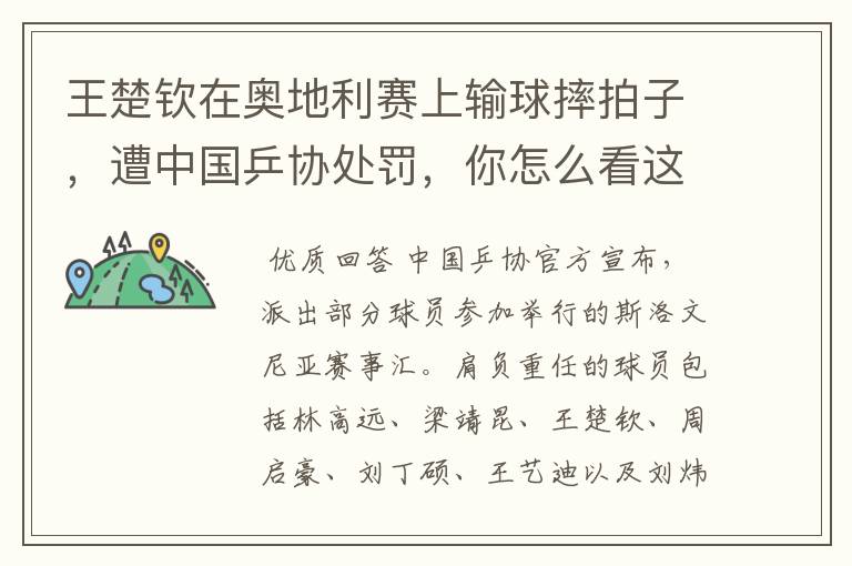 王楚钦在奥地利赛上输球摔拍子,遭中国乒协处罚,你怎么看这件事?