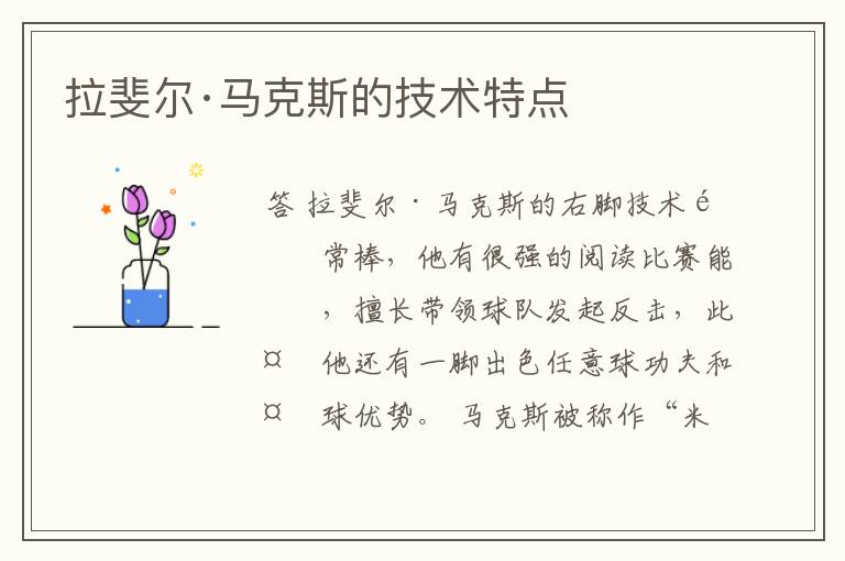 拉斐尔·马克斯的技术特点
