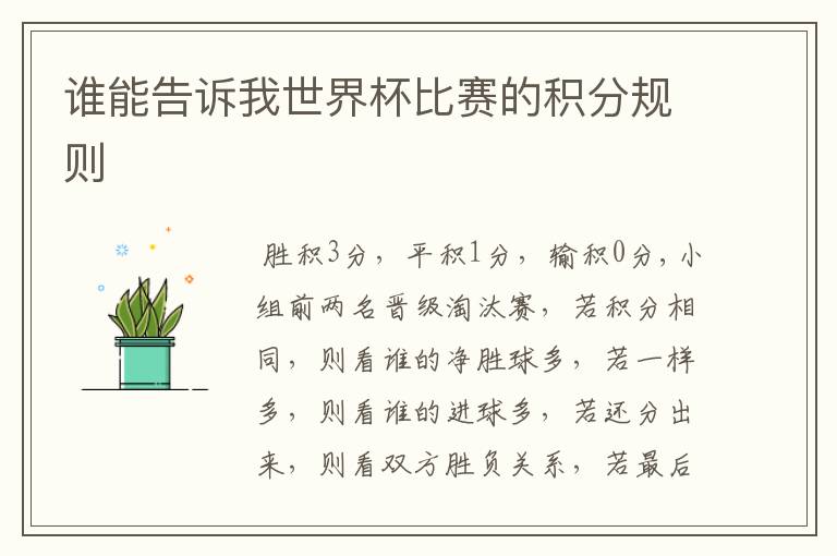 谁能告诉我世界杯比赛的积分规则