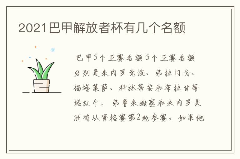 2021巴甲解放者杯有几个名额