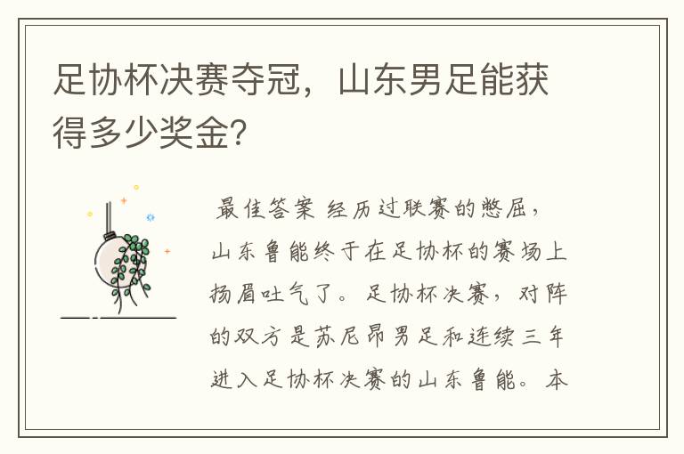 足协杯决赛夺冠,山东男足能获得多少奖金?