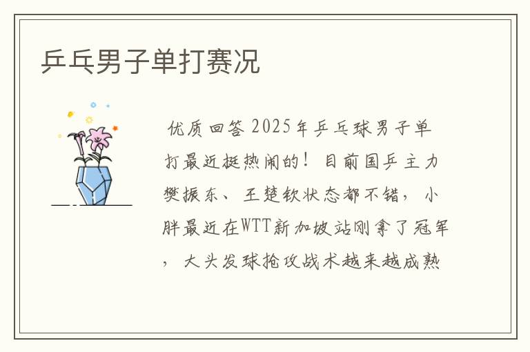 乒乓男子单打赛况