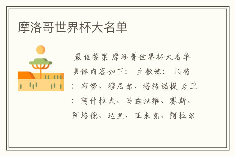 摩洛哥世界杯大名单