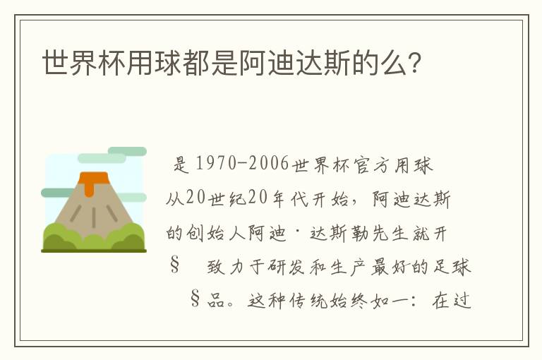 世界杯用球都是阿迪达斯的么?