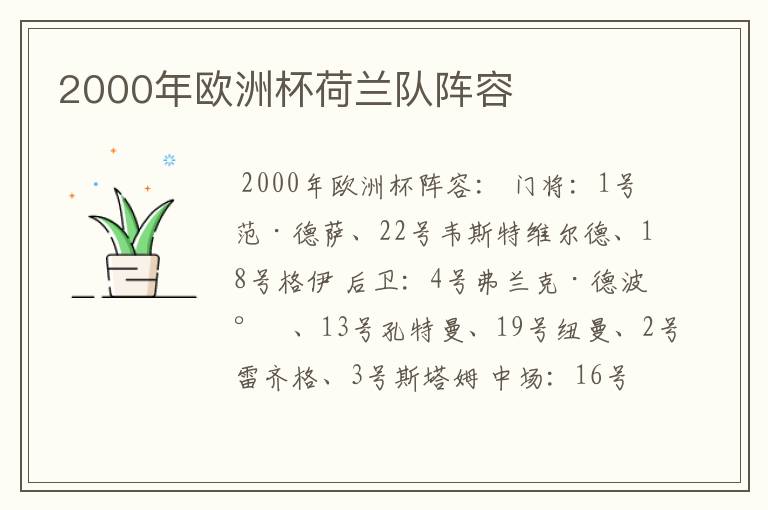2000年欧洲杯荷兰队阵容