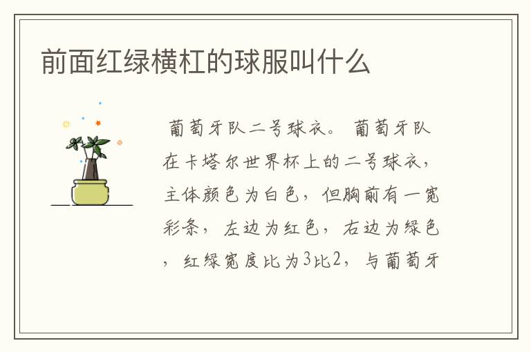 前面红绿横杠的球服叫什么