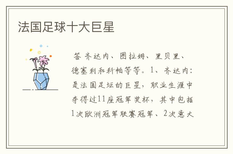 法国足球十大巨星