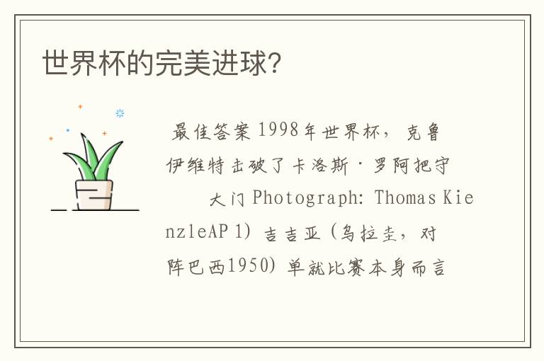 世界杯的完美进球？