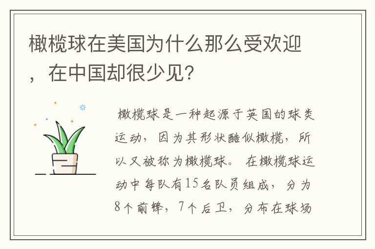橄榄球在美国为什么那么受欢迎,在中国却很少见?