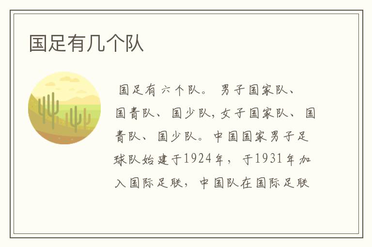 国足有几个队