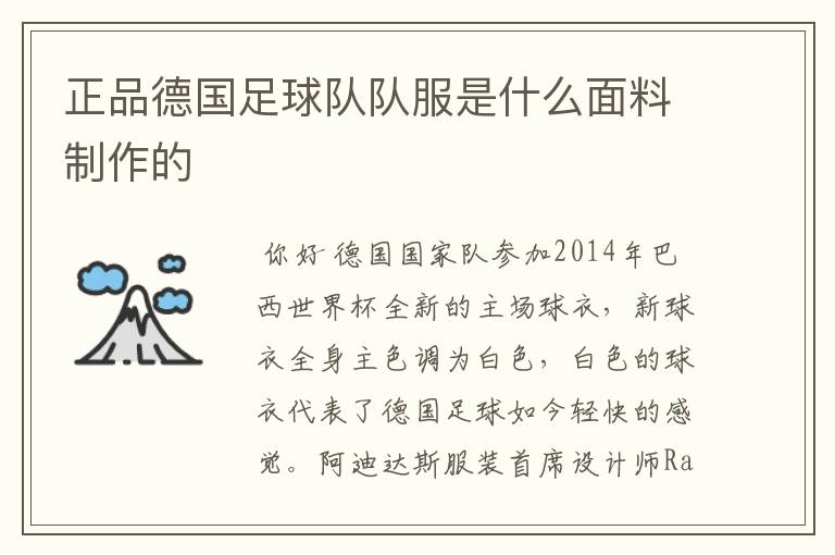 正品德国足球队队服是什么面料制作的