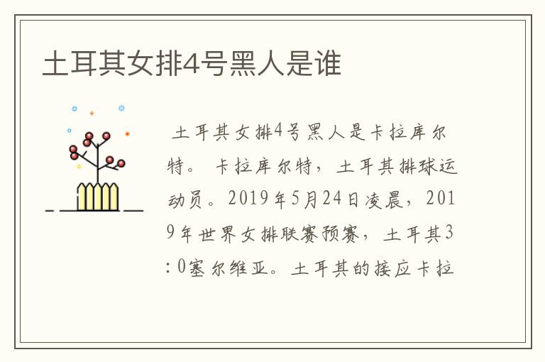 土耳其女排4号黑人是谁