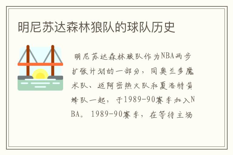 明尼苏达森林狼队的球队历史