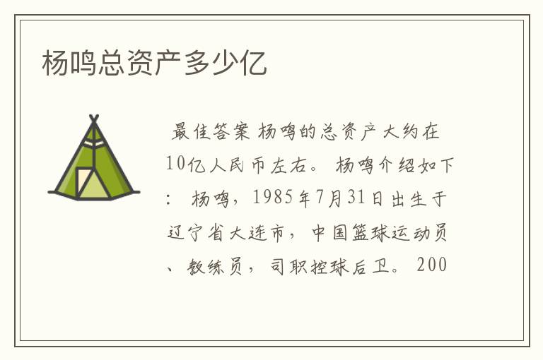 杨鸣总资产多少亿