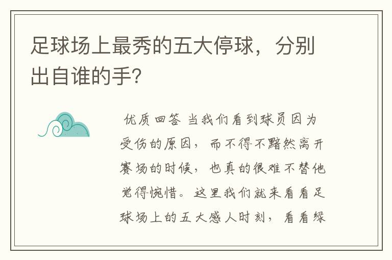 足球场上最秀的五大停球，分别出自谁的手？