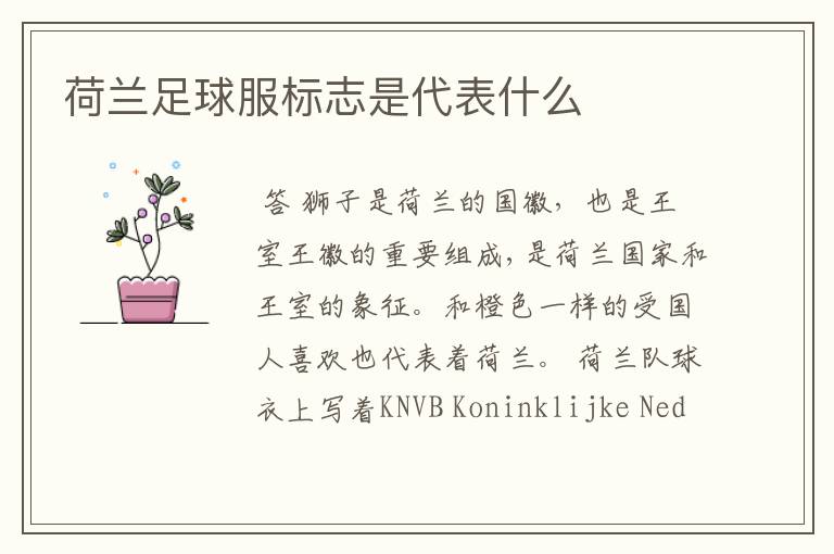 荷兰足球服标志是代表什么