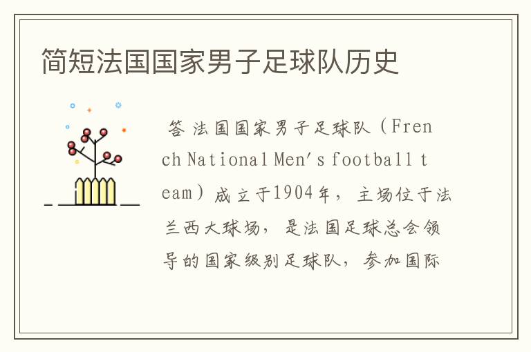 简短法国国家男子足球队历史