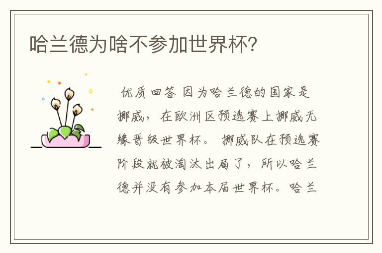 哈兰德为啥不参加世界杯？