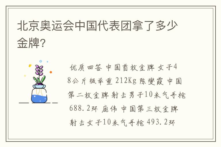 北京奥运会中国代表团拿了多少金牌?